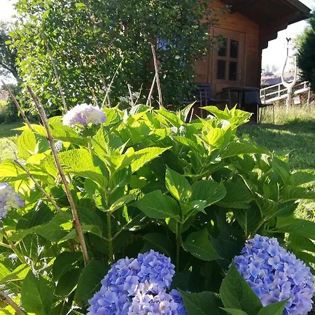 公寓 Feriendomizil Wachau Habruck