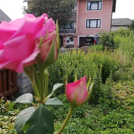 Feriendomizil Wachau Apartment *