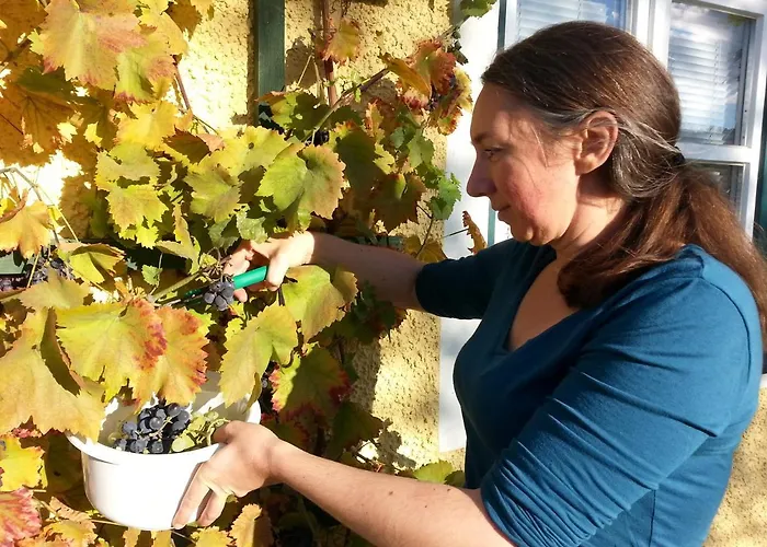 Apartment Feriendomizil Wachau *