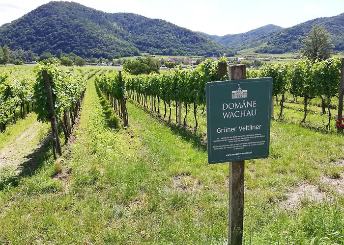 Feriendomizil Wachau Apartment Habruck