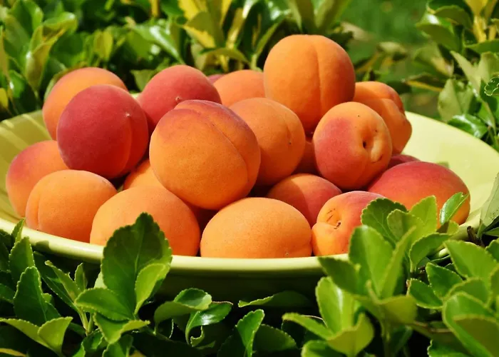 Feriendomizil Wachau Apartment