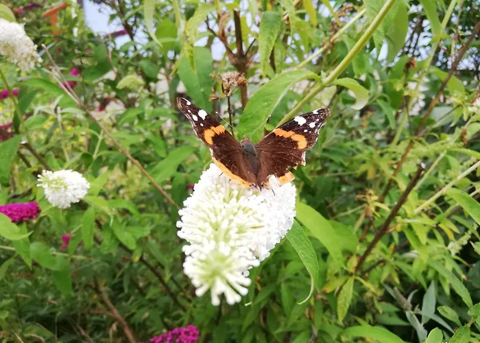 Feriendomizil Wachau * Habruck