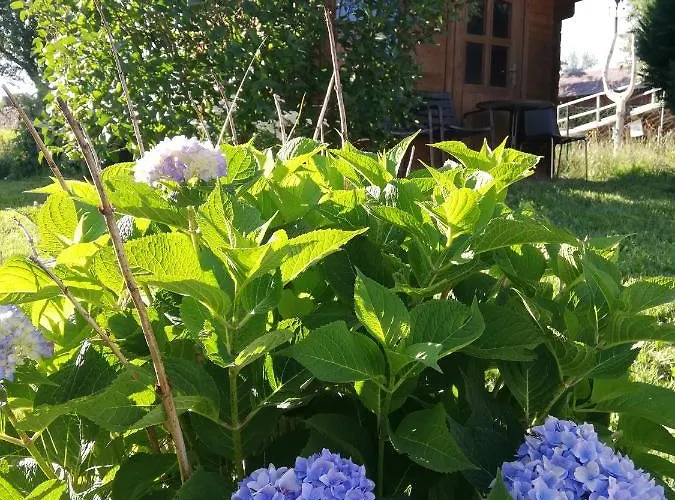 Apartment Feriendomizil Wachau Habruck