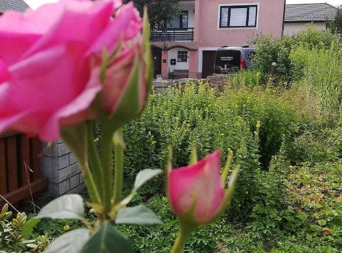 Feriendomizil Wachau Apartment *